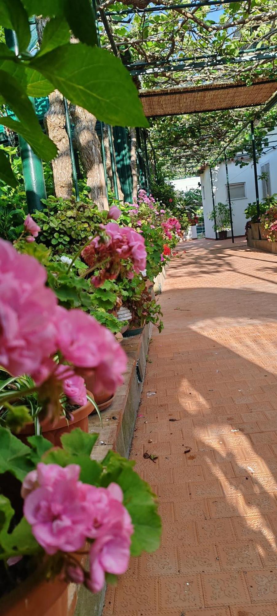 كابري Villa Dei Fiori B&B المظهر الخارجي الصورة
